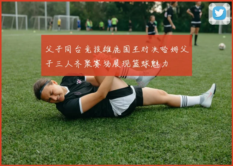 父子同台竞技雄鹿国王对决哈姆父子三人齐聚赛场展现篮球魅力