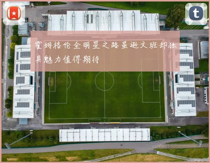 霍姆格伦全明星之路虽逊文班却独具魅力值得期待