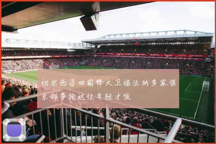 切尔西召回前锋大卫福法纳多家俱乐部争抢这位年轻才俊